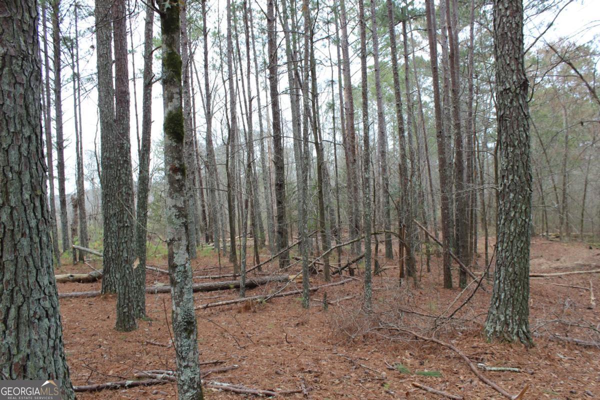 5191 Loganville Highway