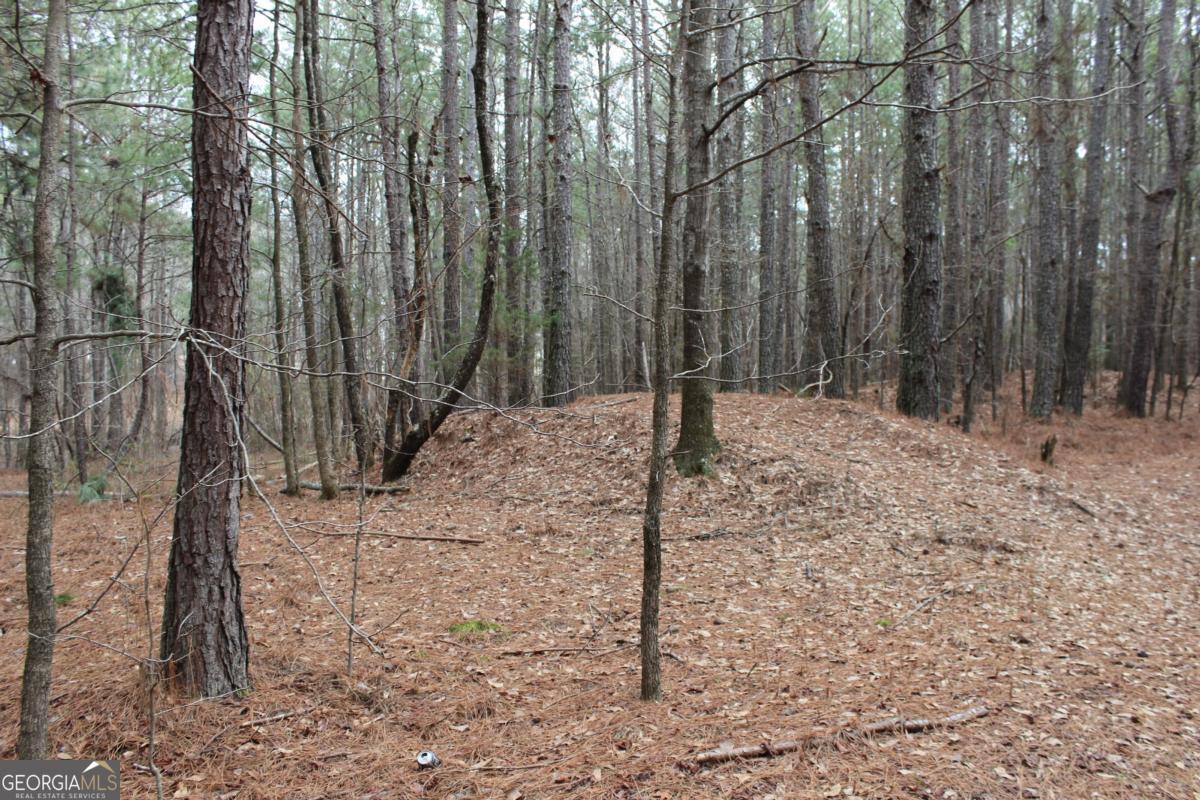 5191 Loganville Highway