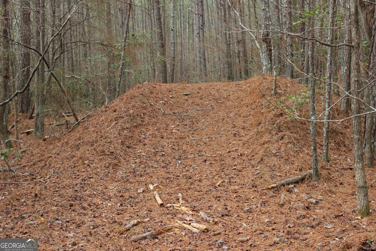 5191 Loganville Highway