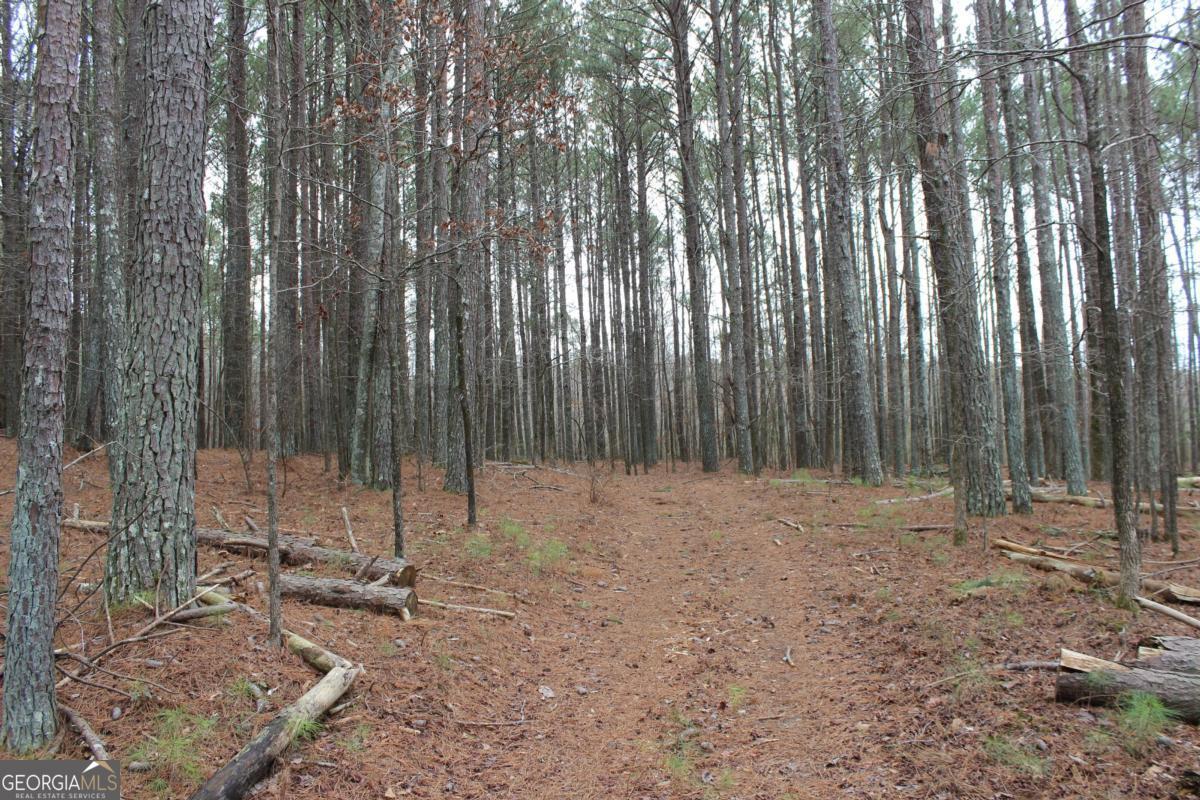 5191 Loganville Highway