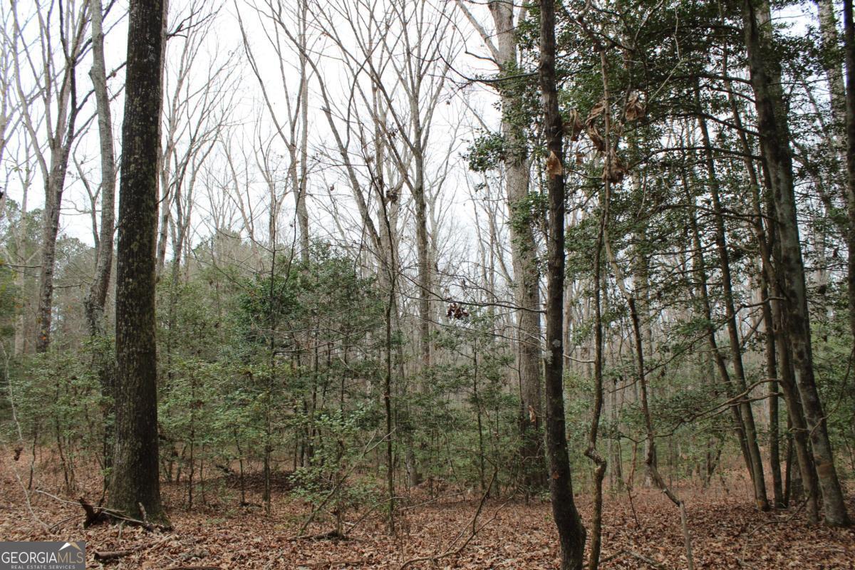 5191 Loganville Highway