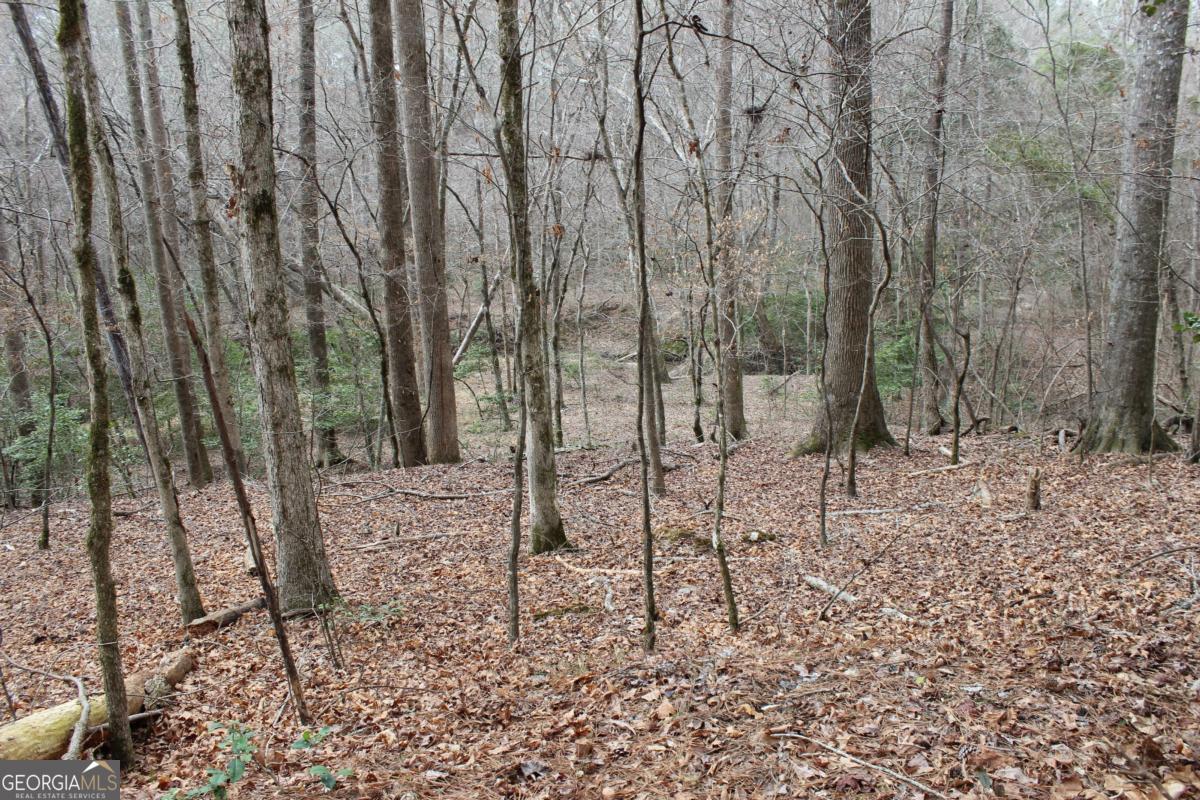 5191 Loganville Highway