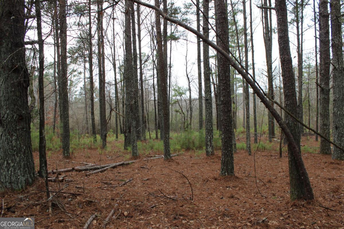 5191 Loganville Highway