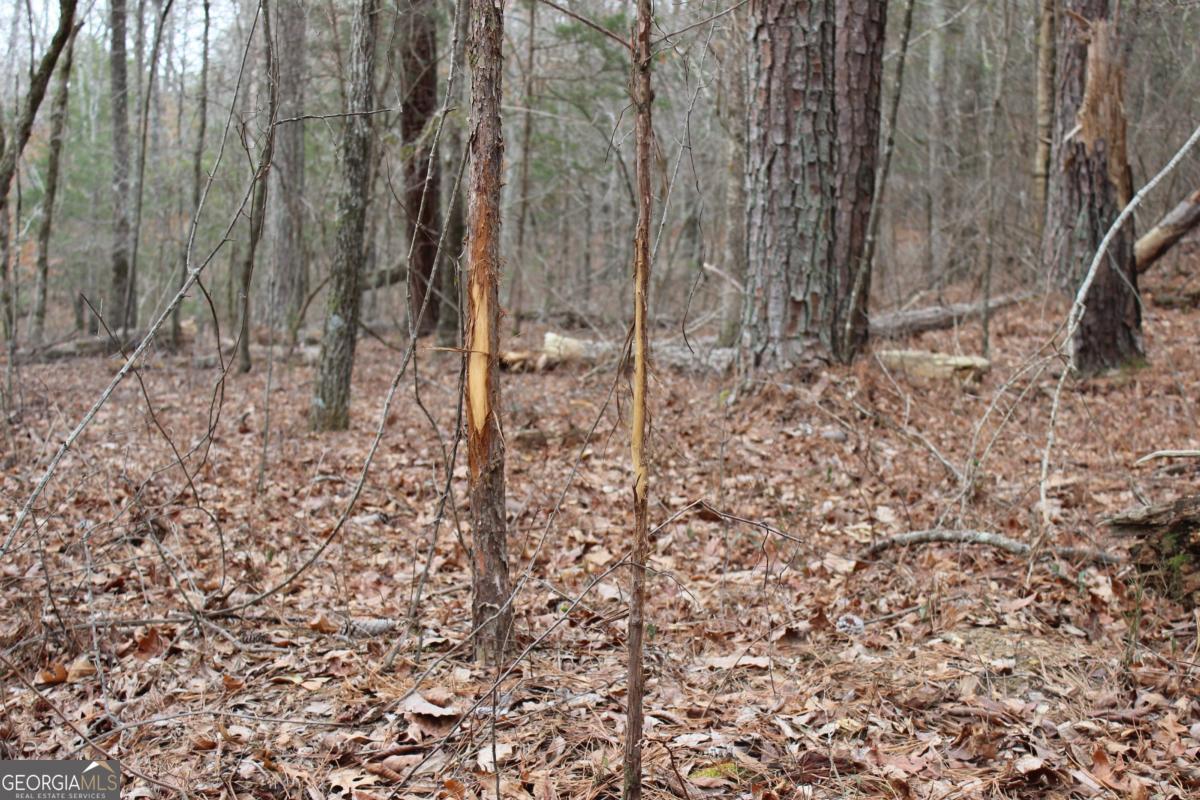 5191 Loganville Highway