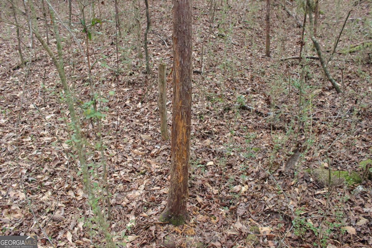 5191 Loganville Highway