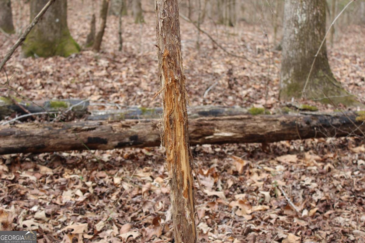 5191 Loganville Highway