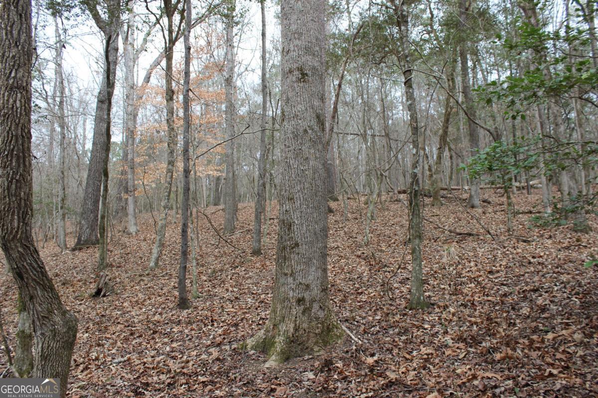 5191 Loganville Highway