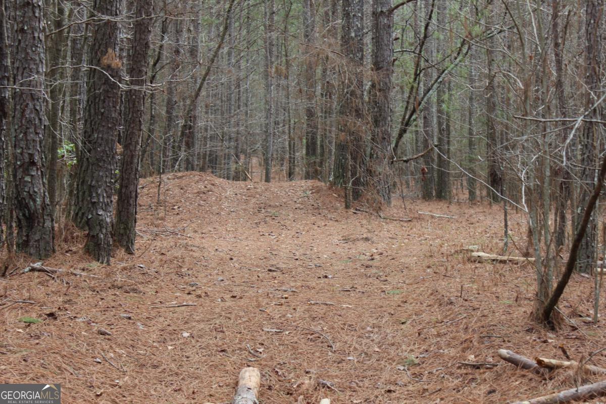 5191 Loganville Highway