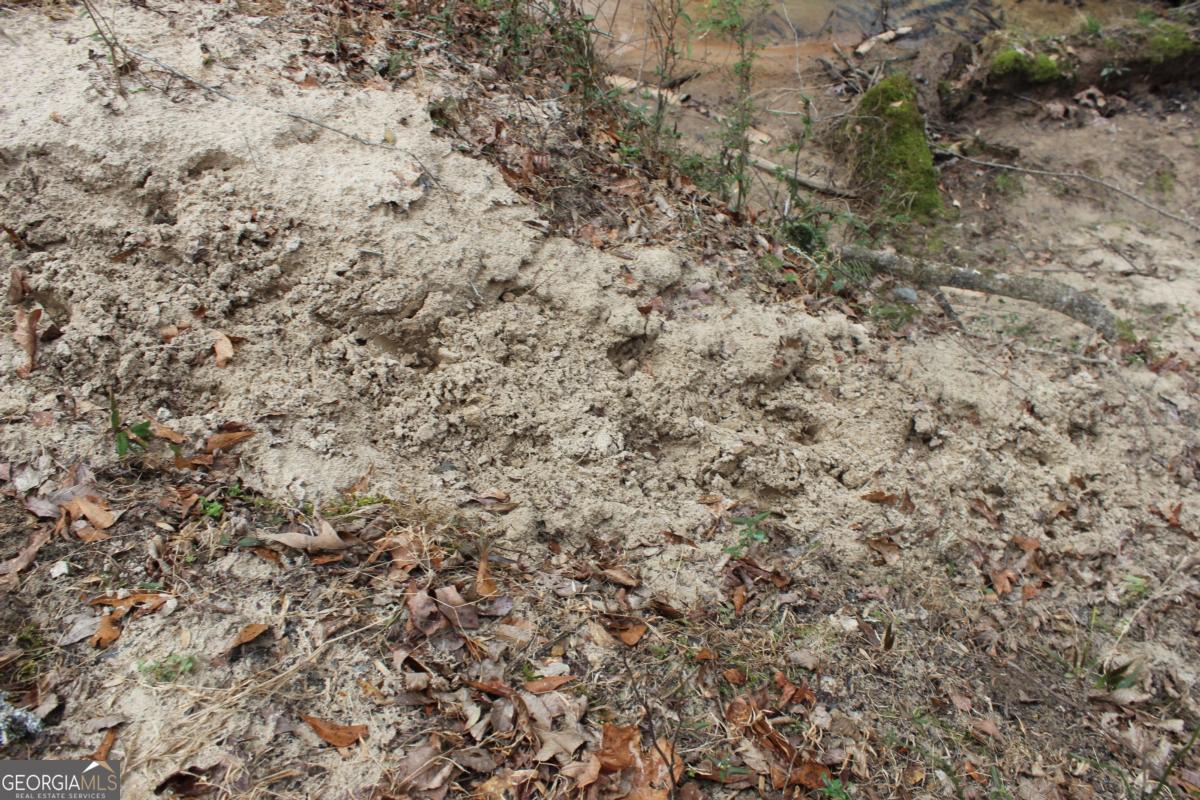 5191 Loganville Highway