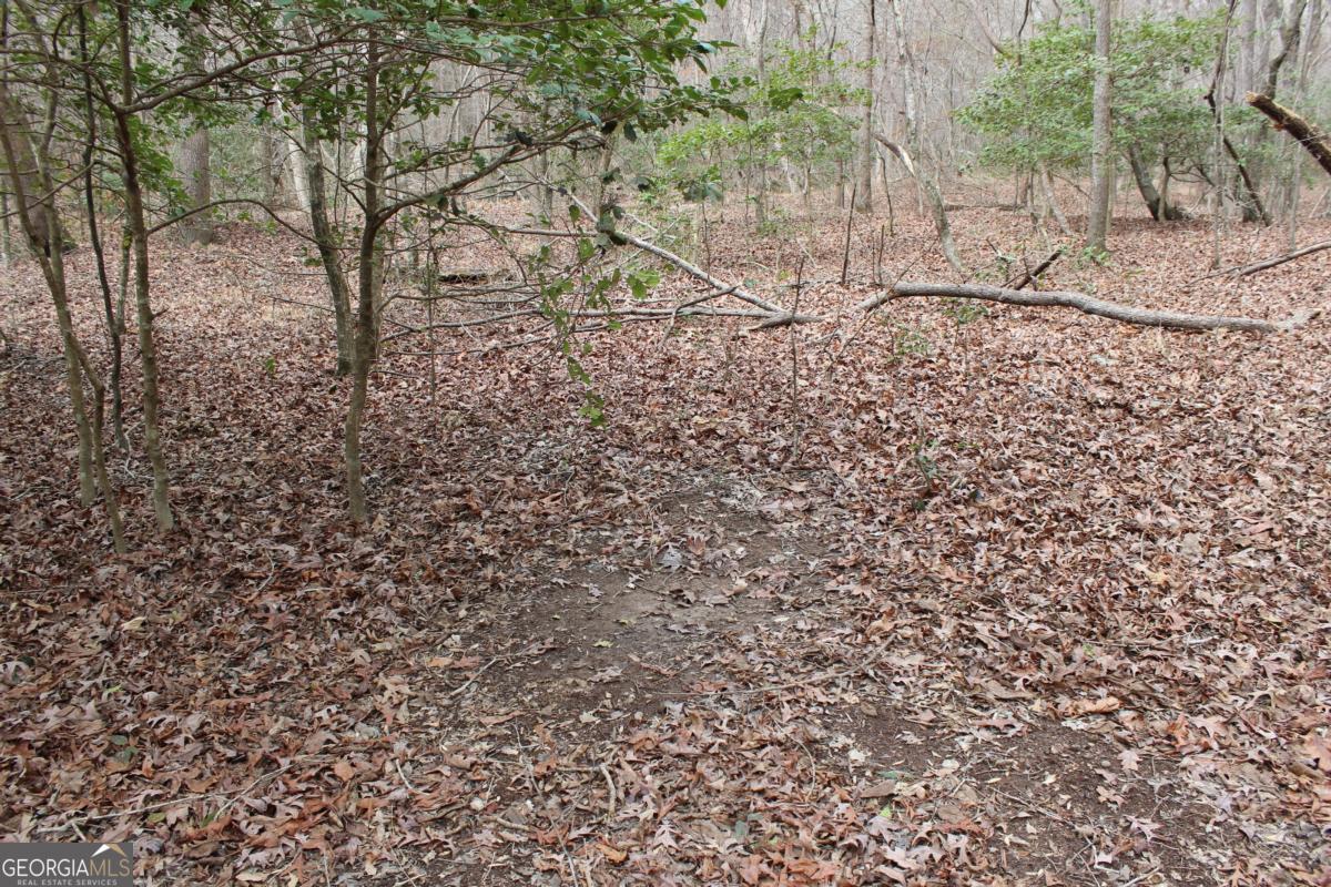 5191 Loganville Highway