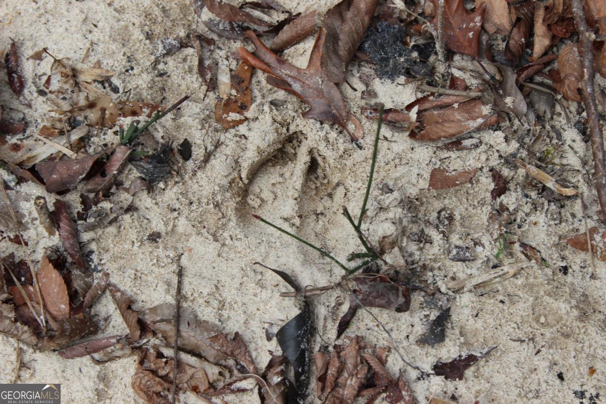 5191 Loganville Highway