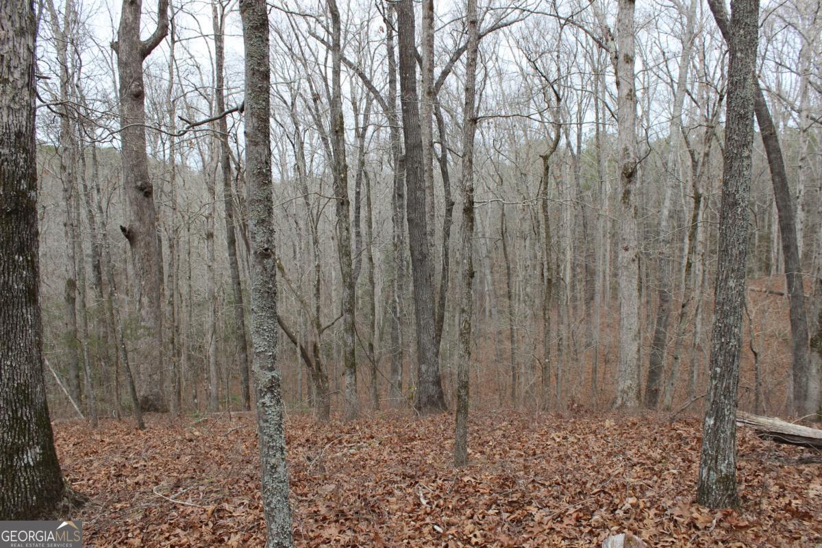 5191 Loganville Highway