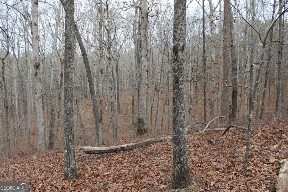 5191 Loganville Highway