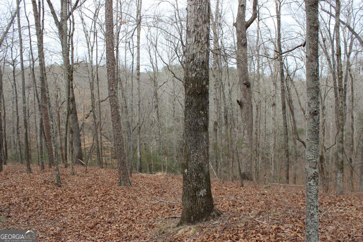 5191 Loganville Highway