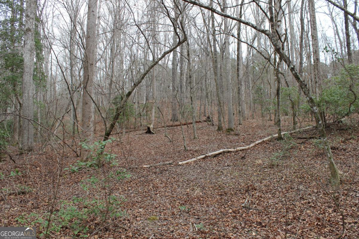 5191 Loganville Highway