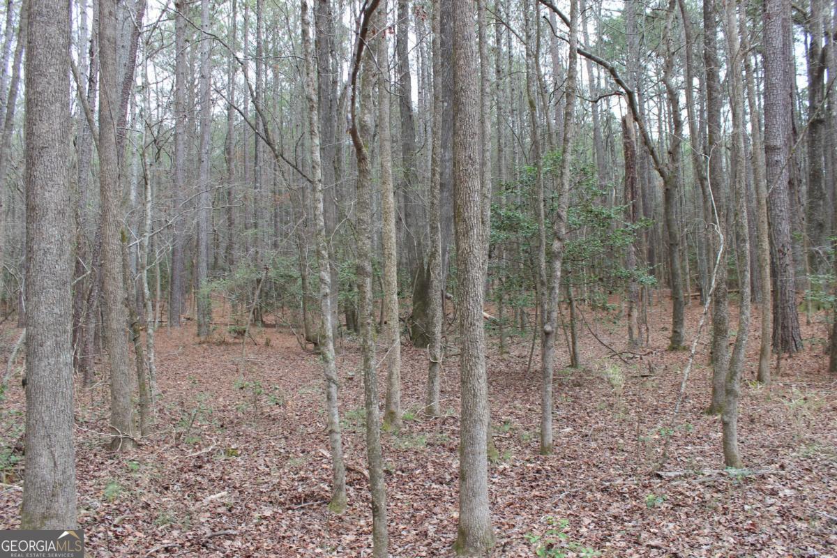 5191 Loganville Highway