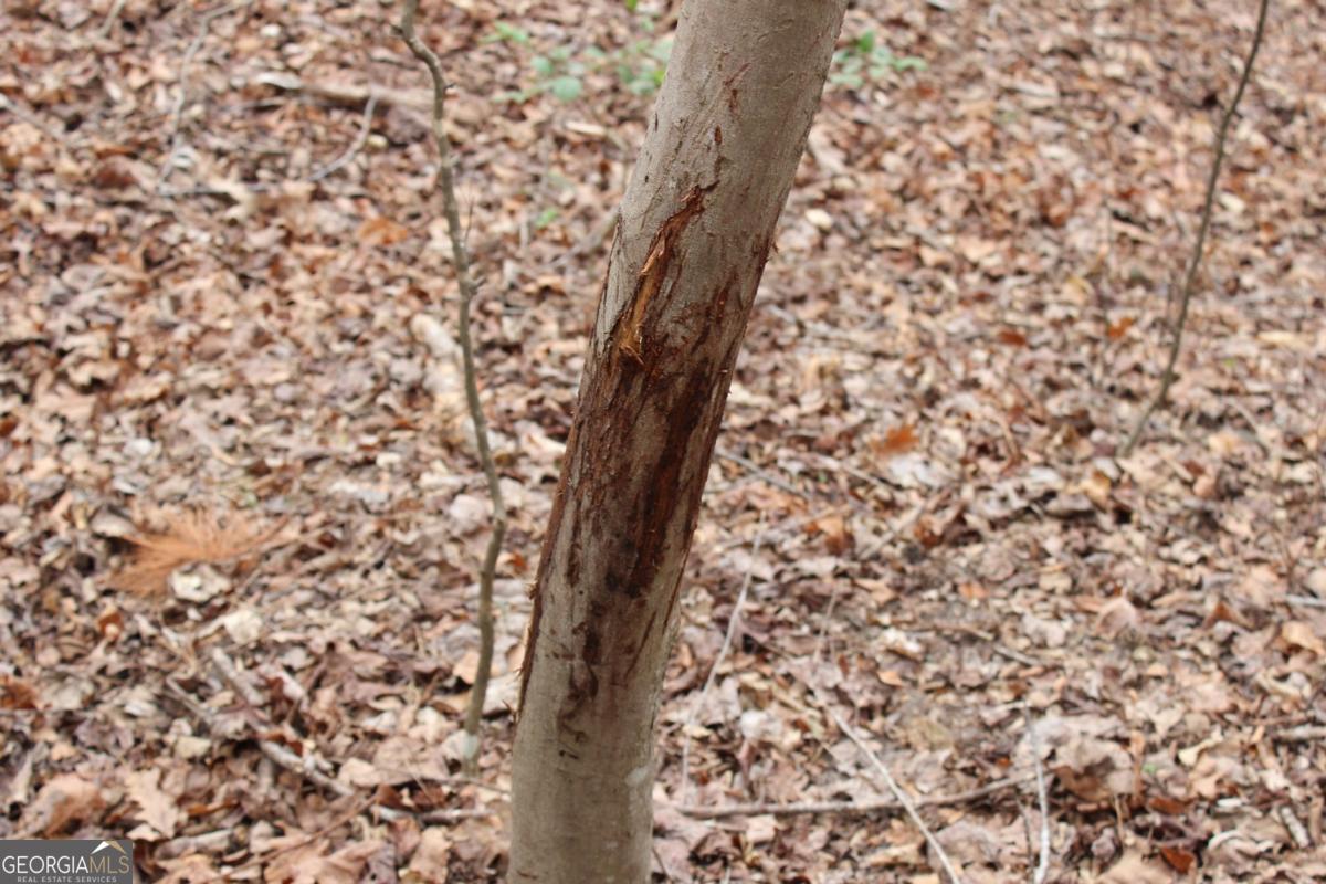 5191 Loganville Highway