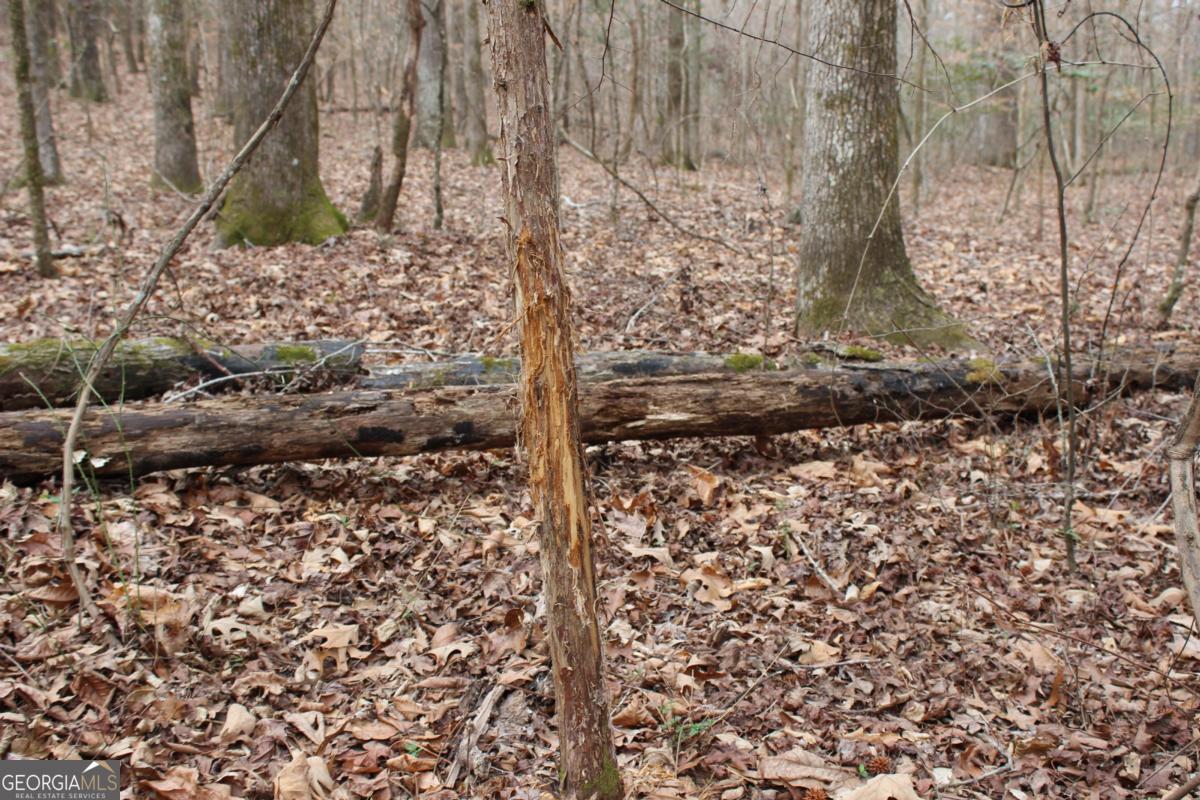 5191 Loganville Highway