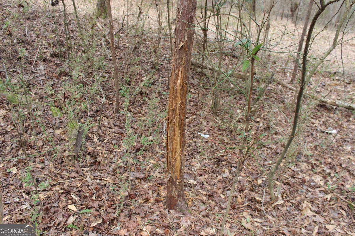 5191 Loganville Highway