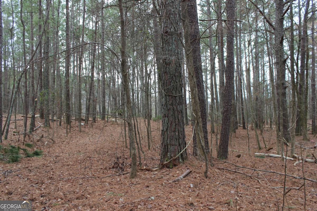 5191 Loganville Highway