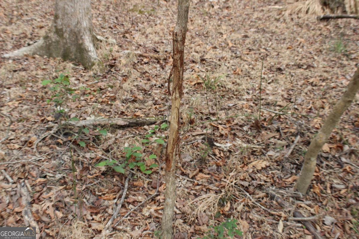 5191 Loganville Highway