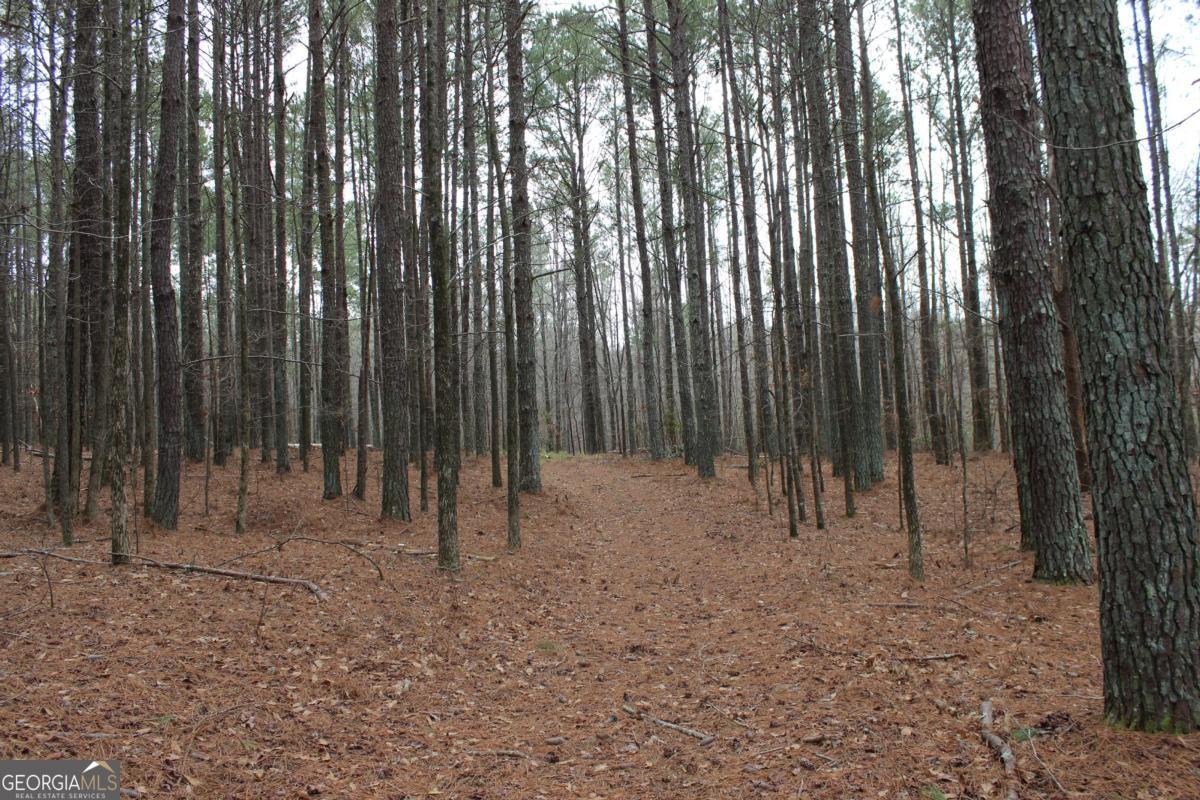 5191 Loganville Highway