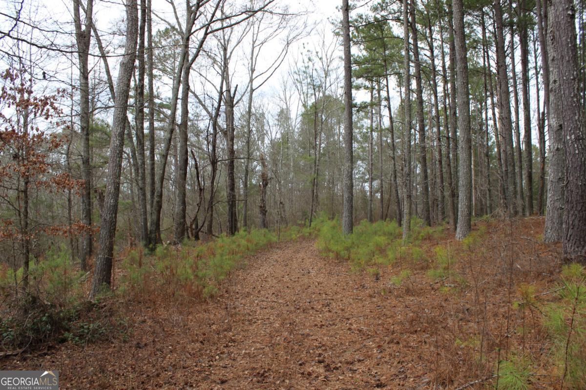 5191 Loganville Highway