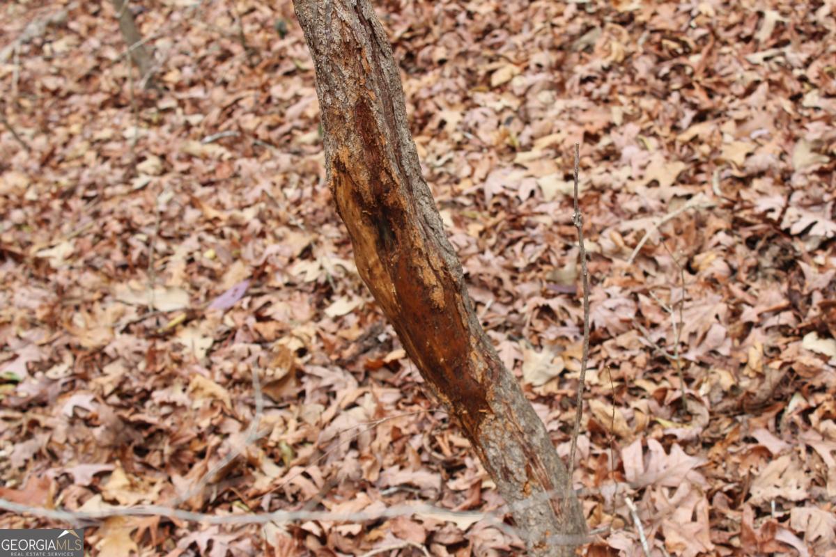 5191 Loganville Highway