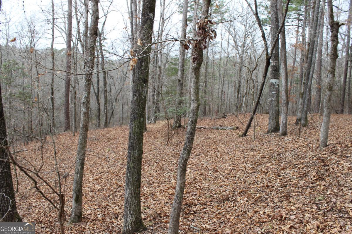 5191 Loganville Highway