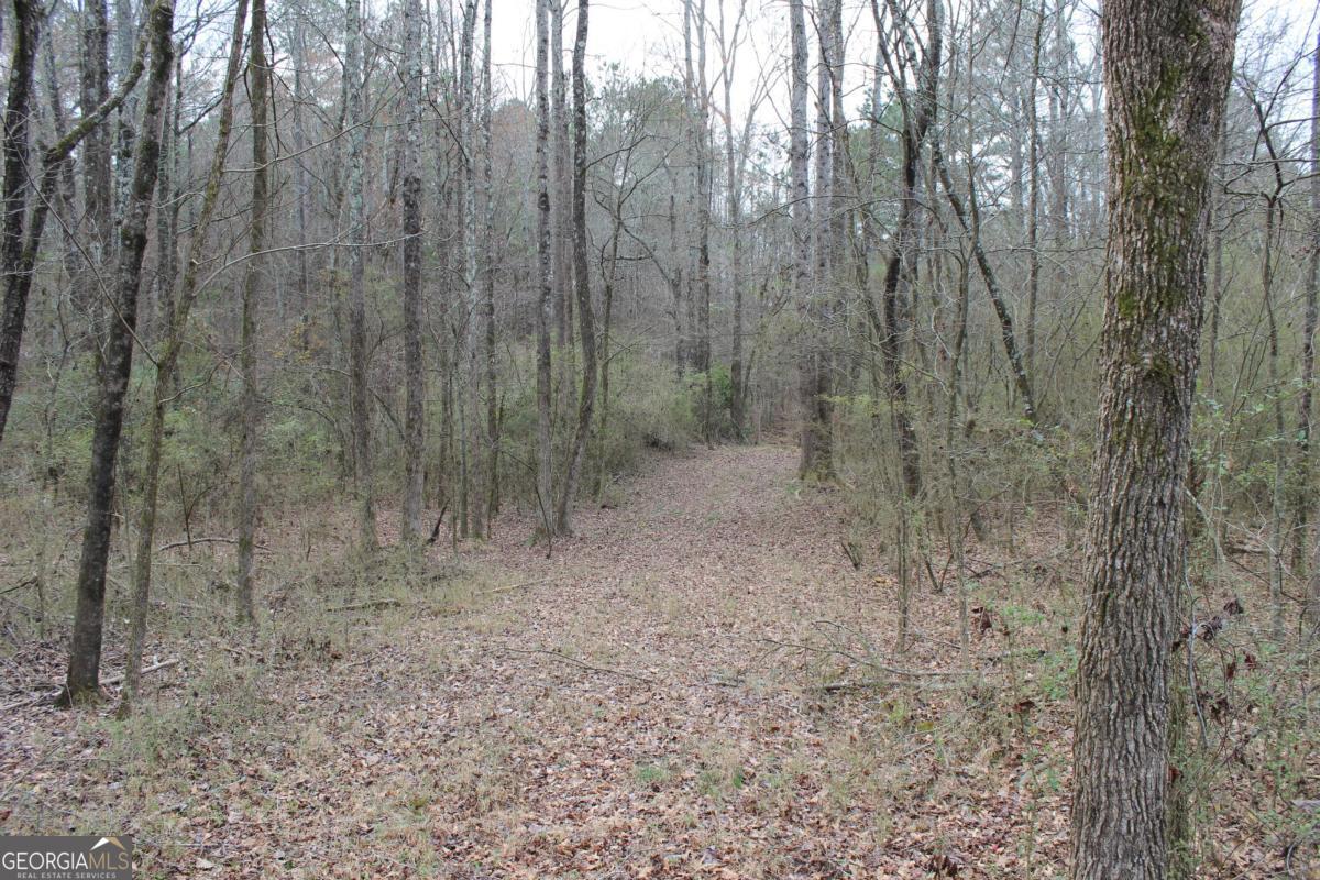 5191 Loganville Highway