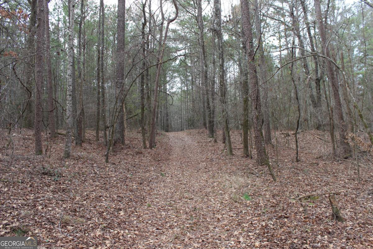 5191 Loganville Highway