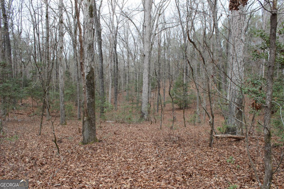 5191 Loganville Highway