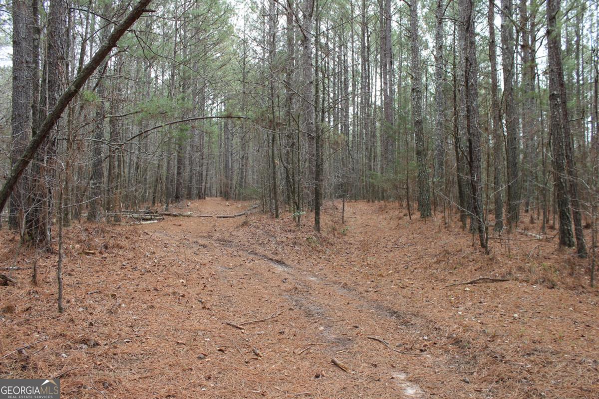 5191 Loganville Highway