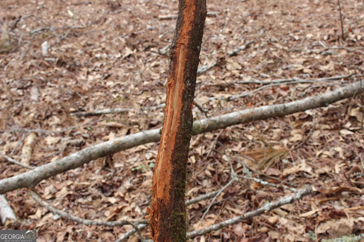 5191 Loganville Highway