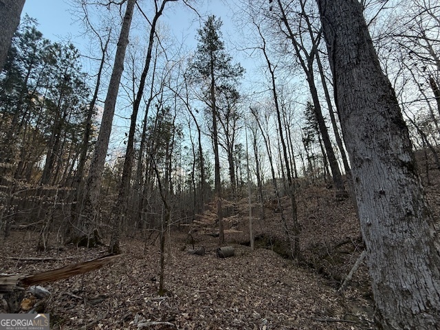 9 Cedar Creek Road