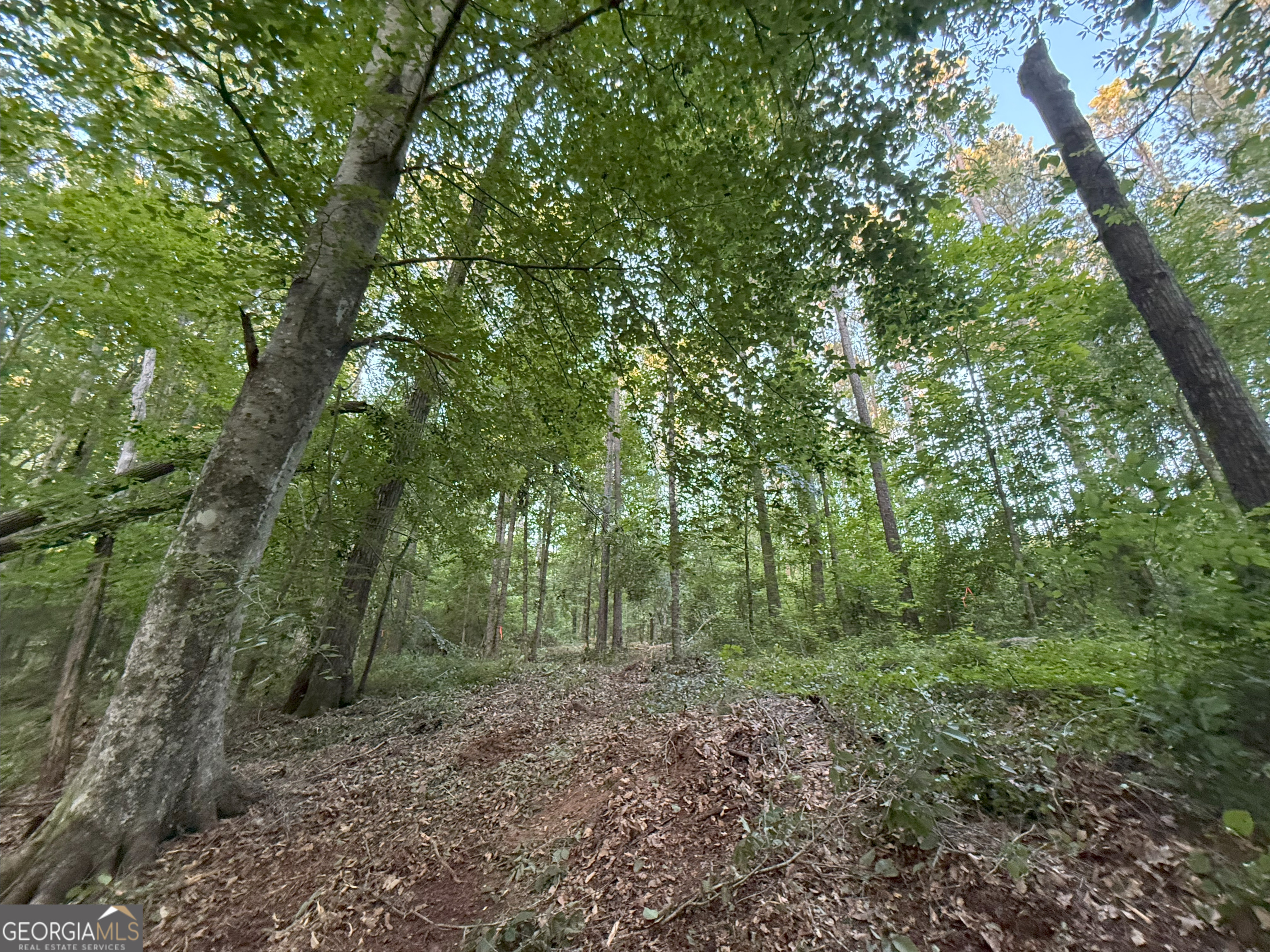 5 Watsons Mill Road