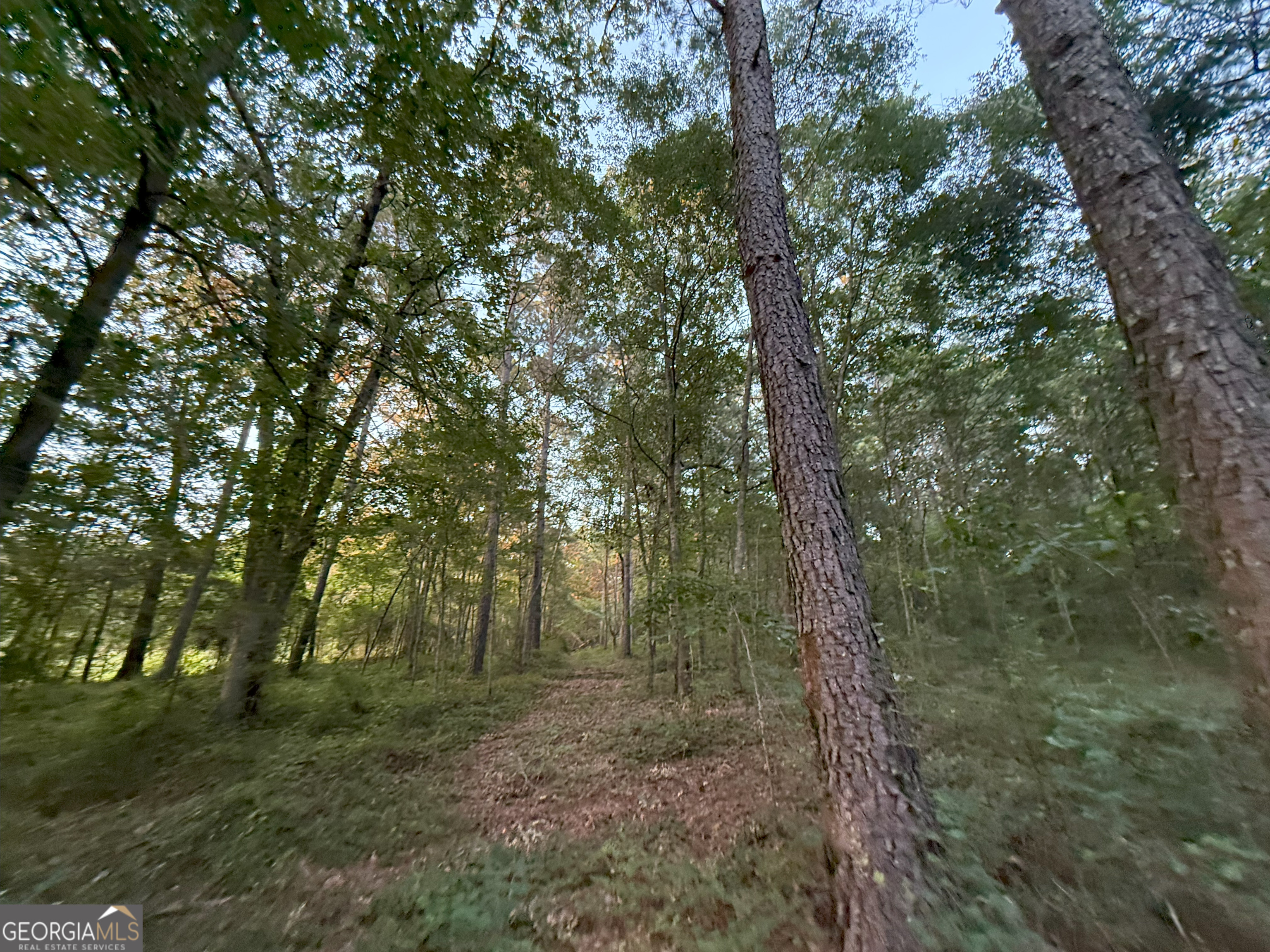 5 Watsons Mill Road