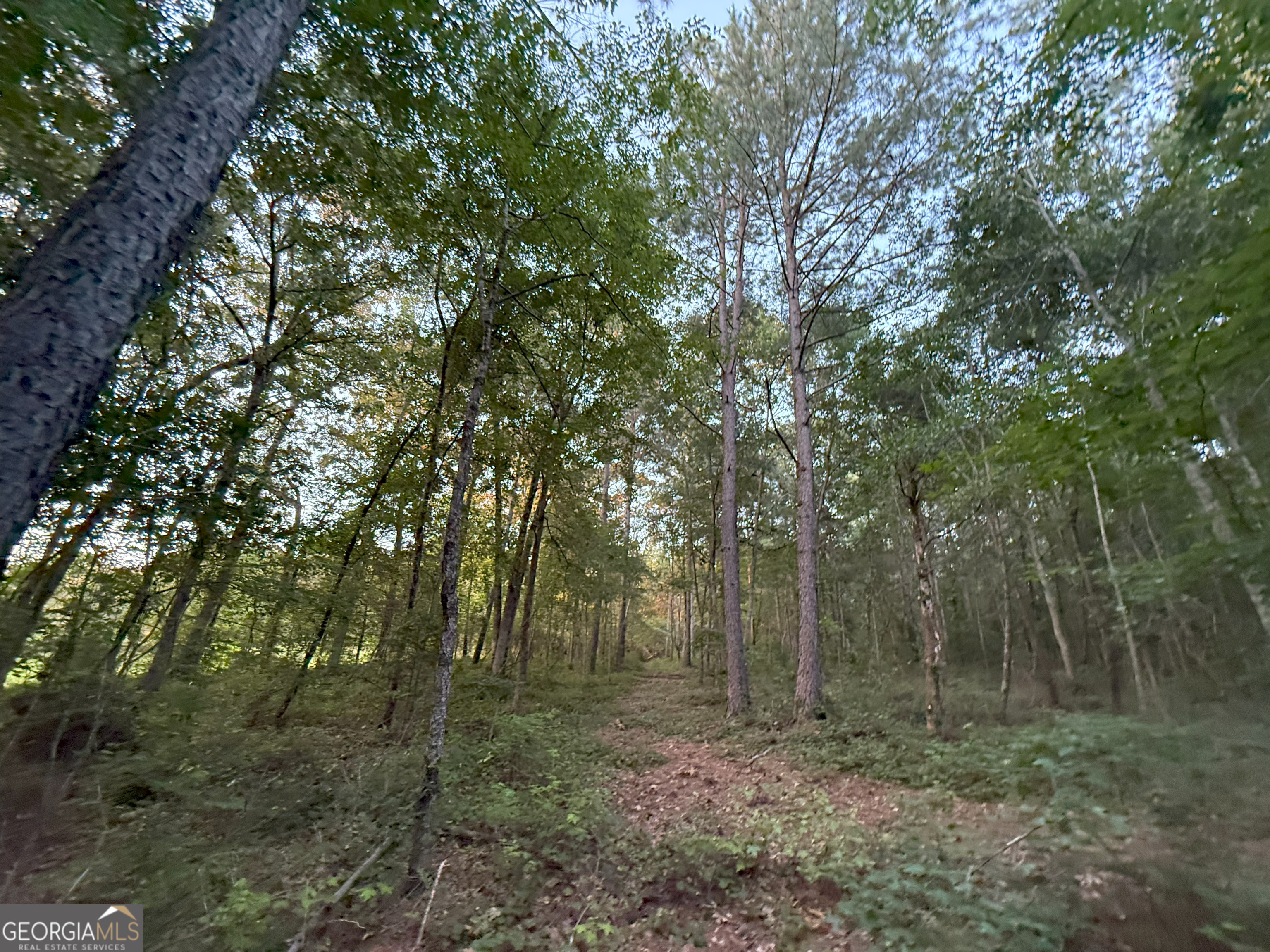 5 Watsons Mill Road