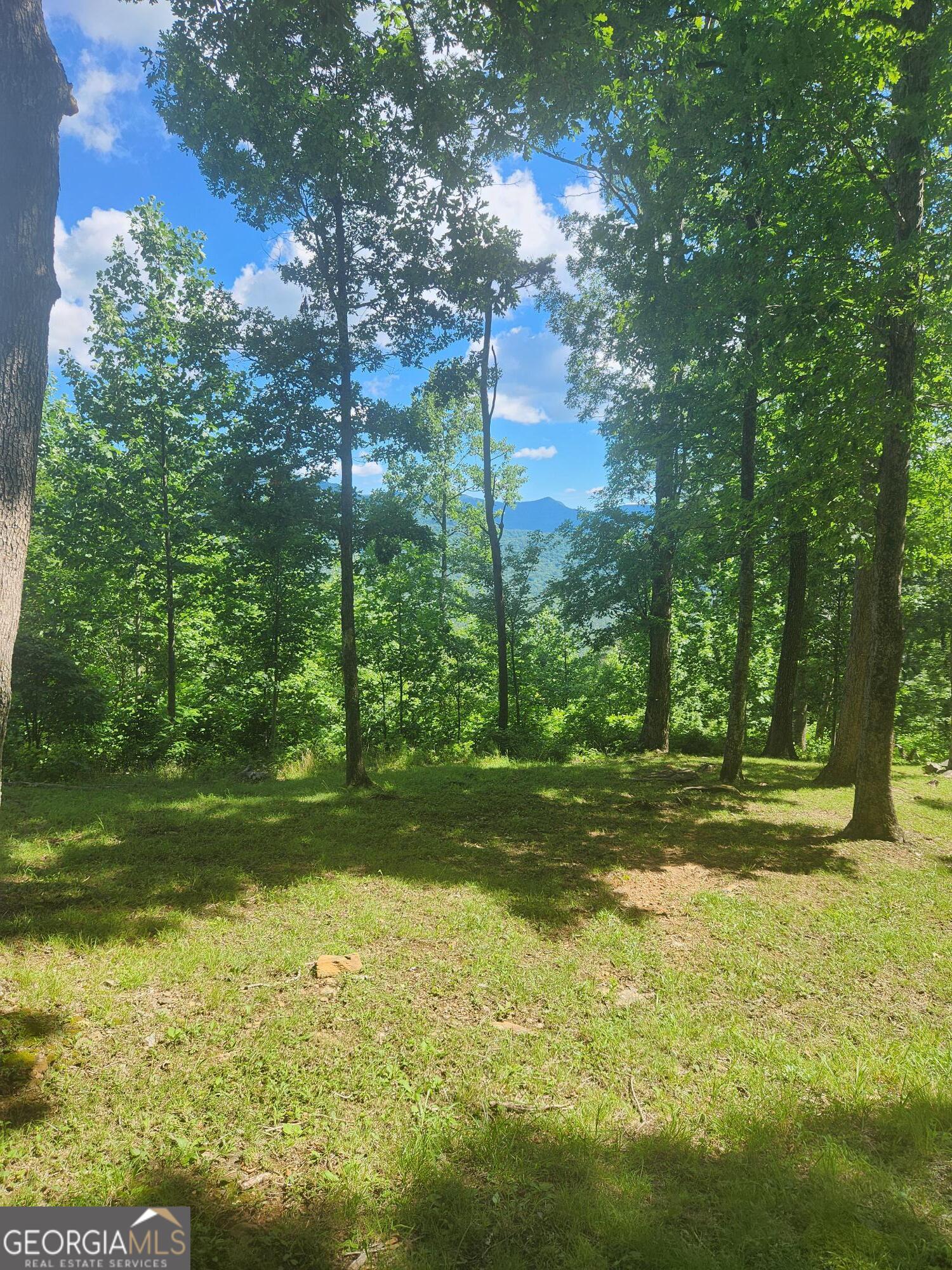LOT 37 Sunburst Ridge