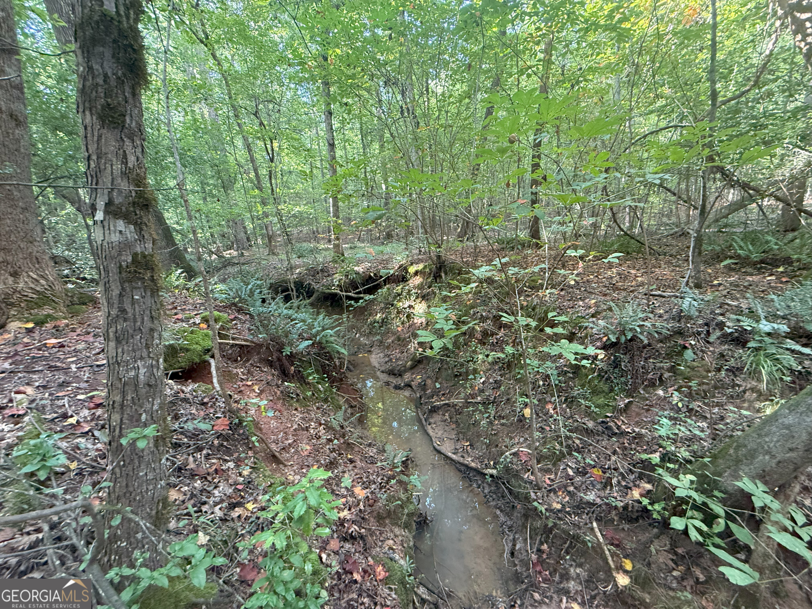 193 Bunch Road