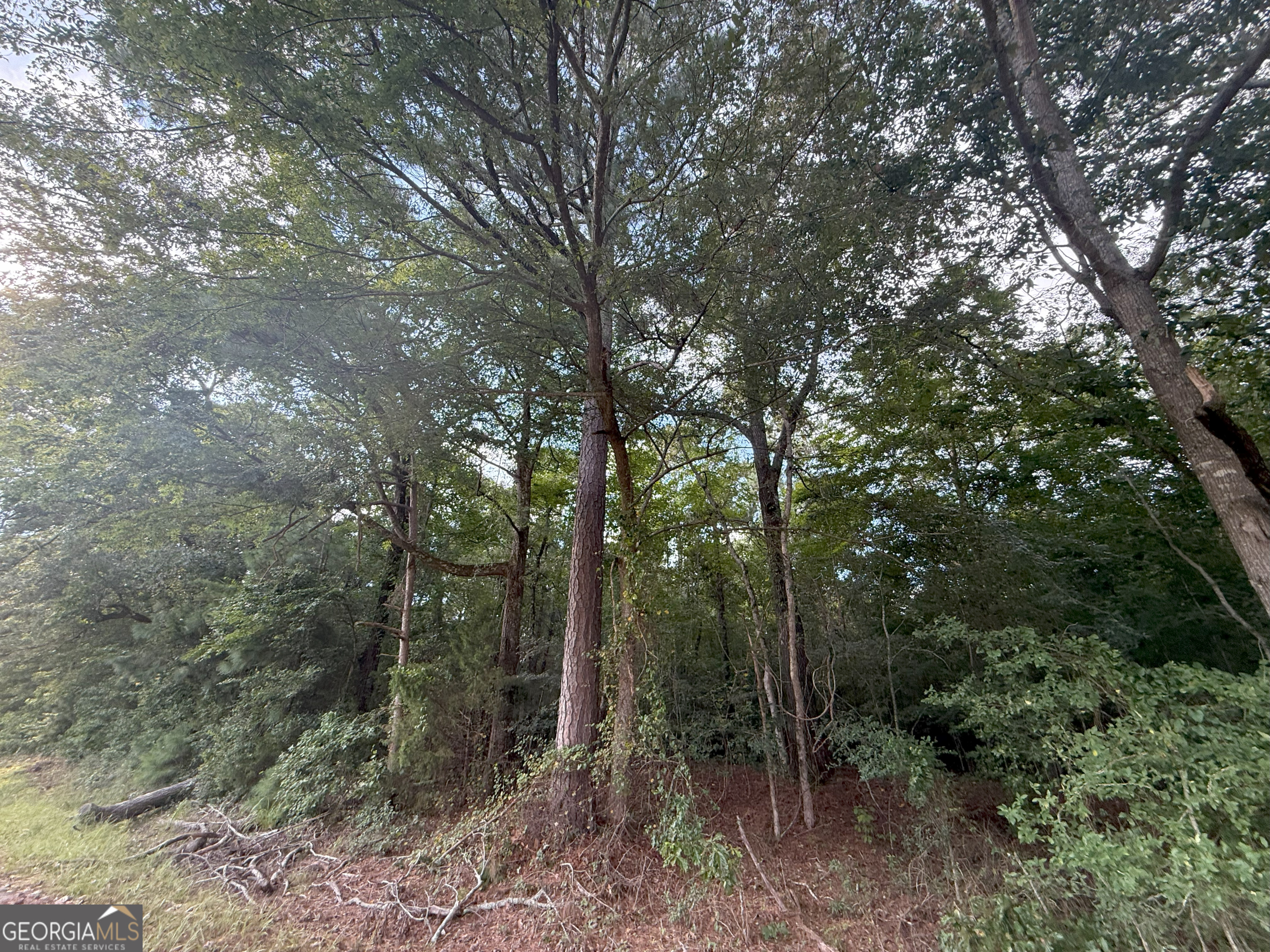 193 Bunch Road