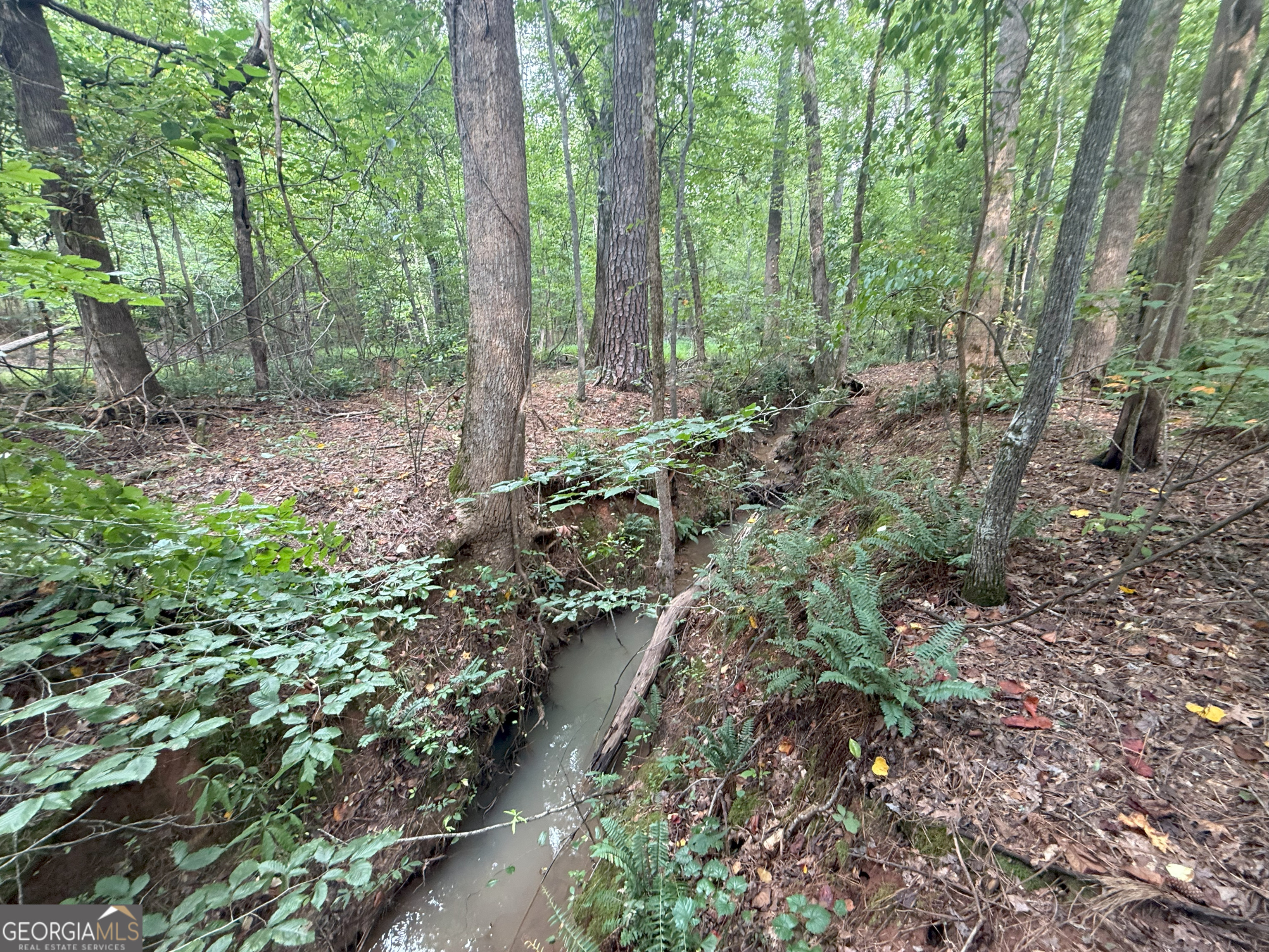 193 Bunch Road