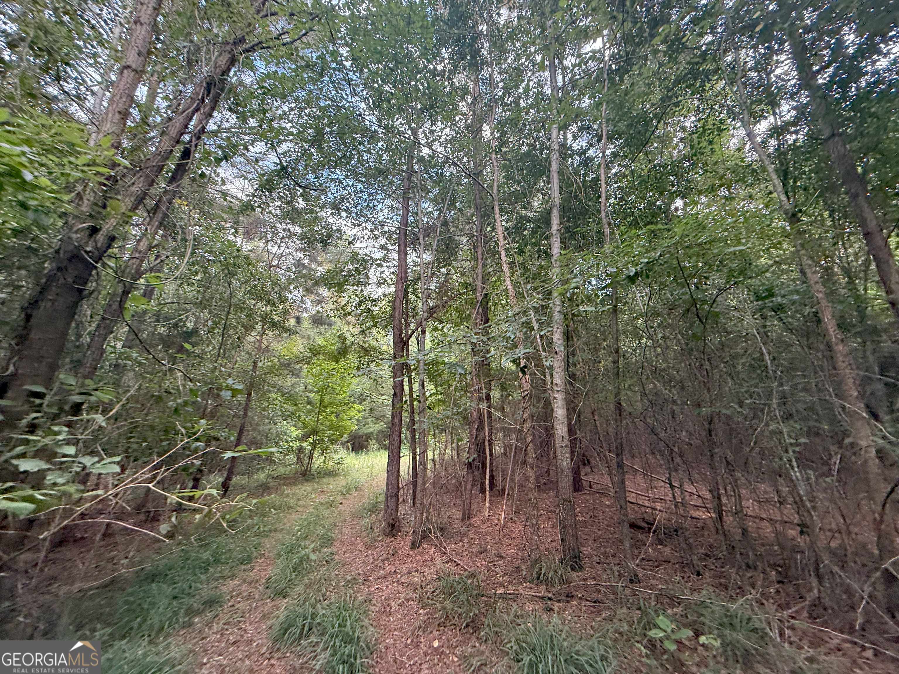 193 Bunch Road