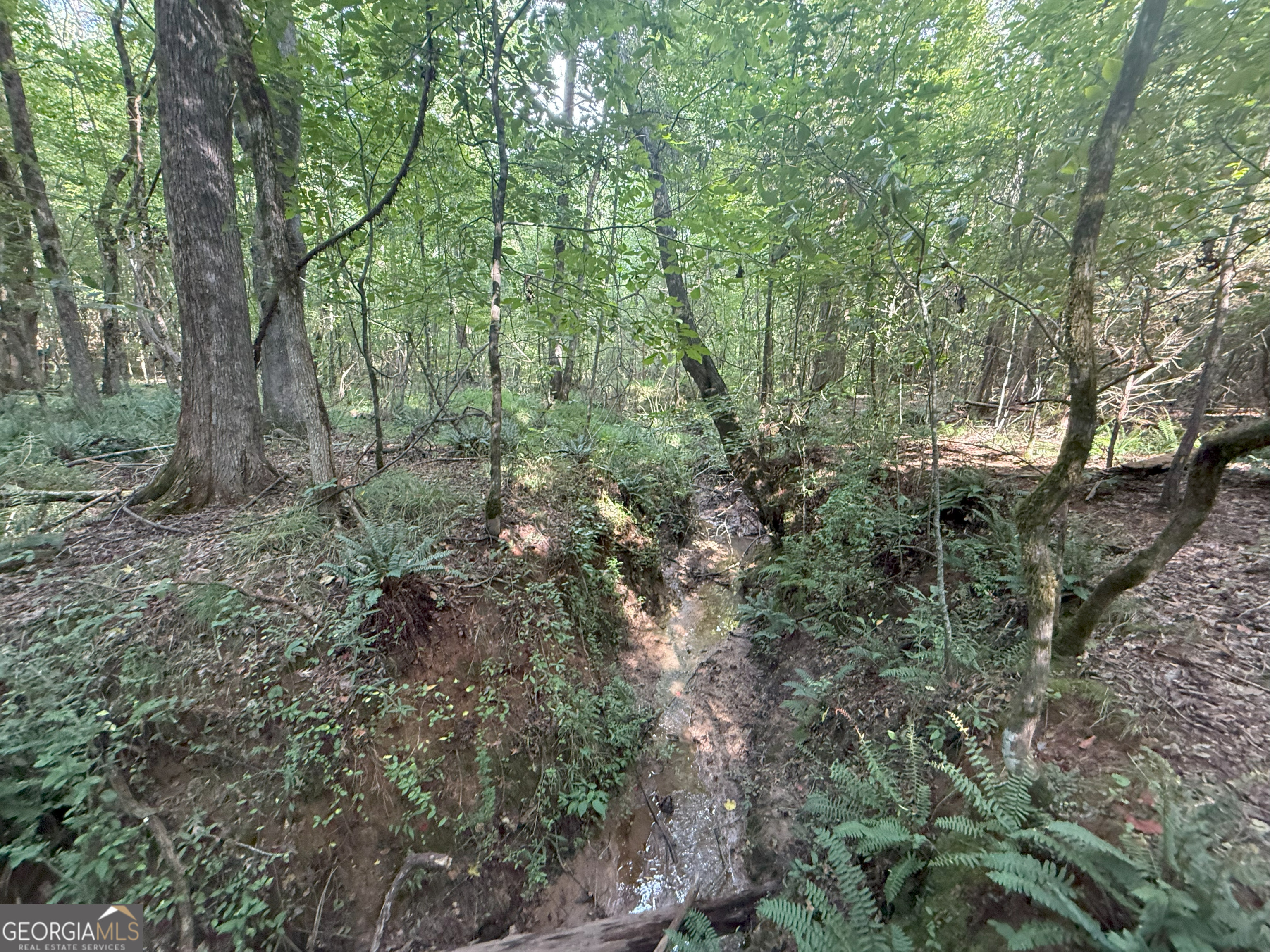 193 Bunch Road