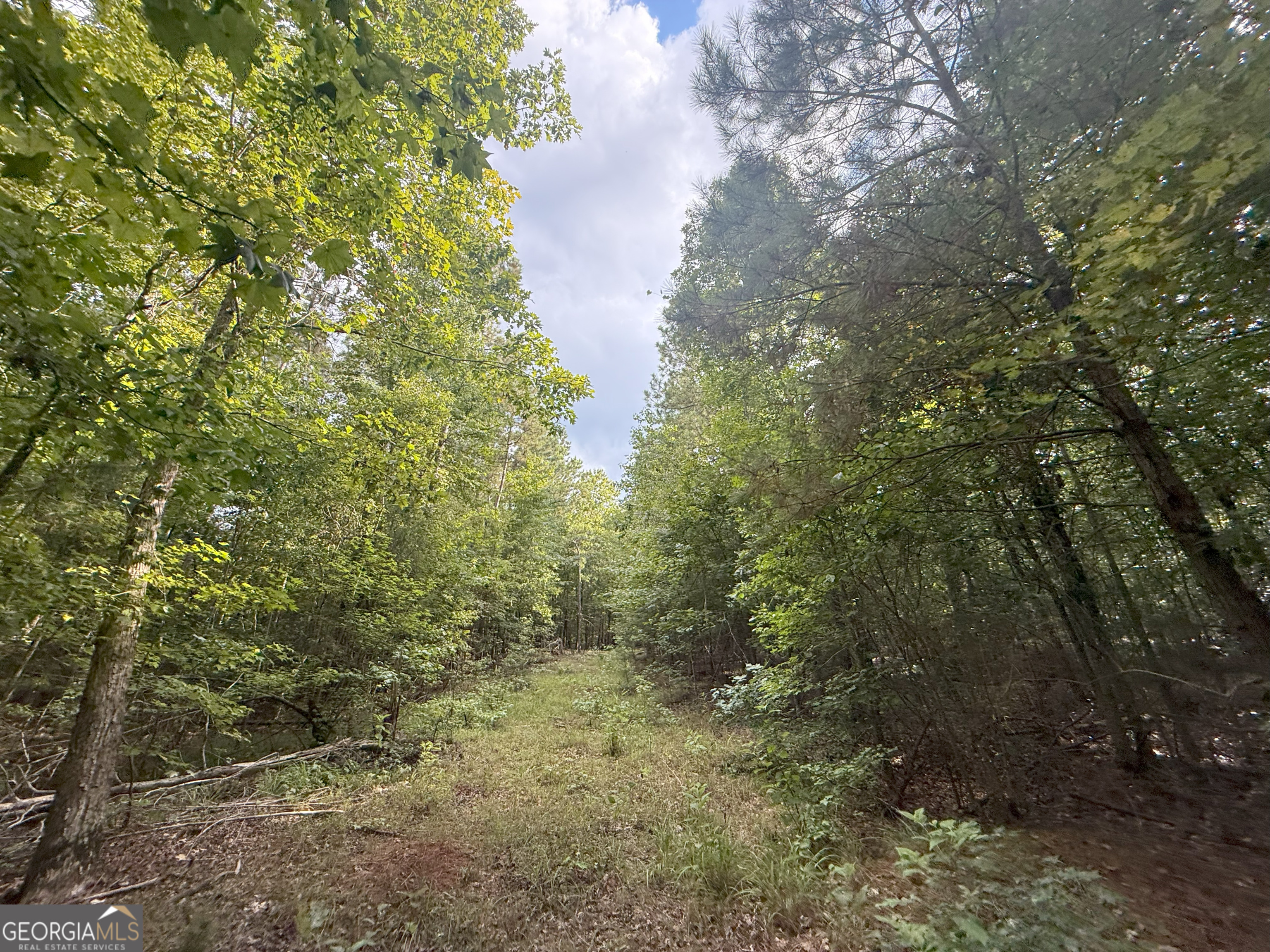 193 Bunch Road
