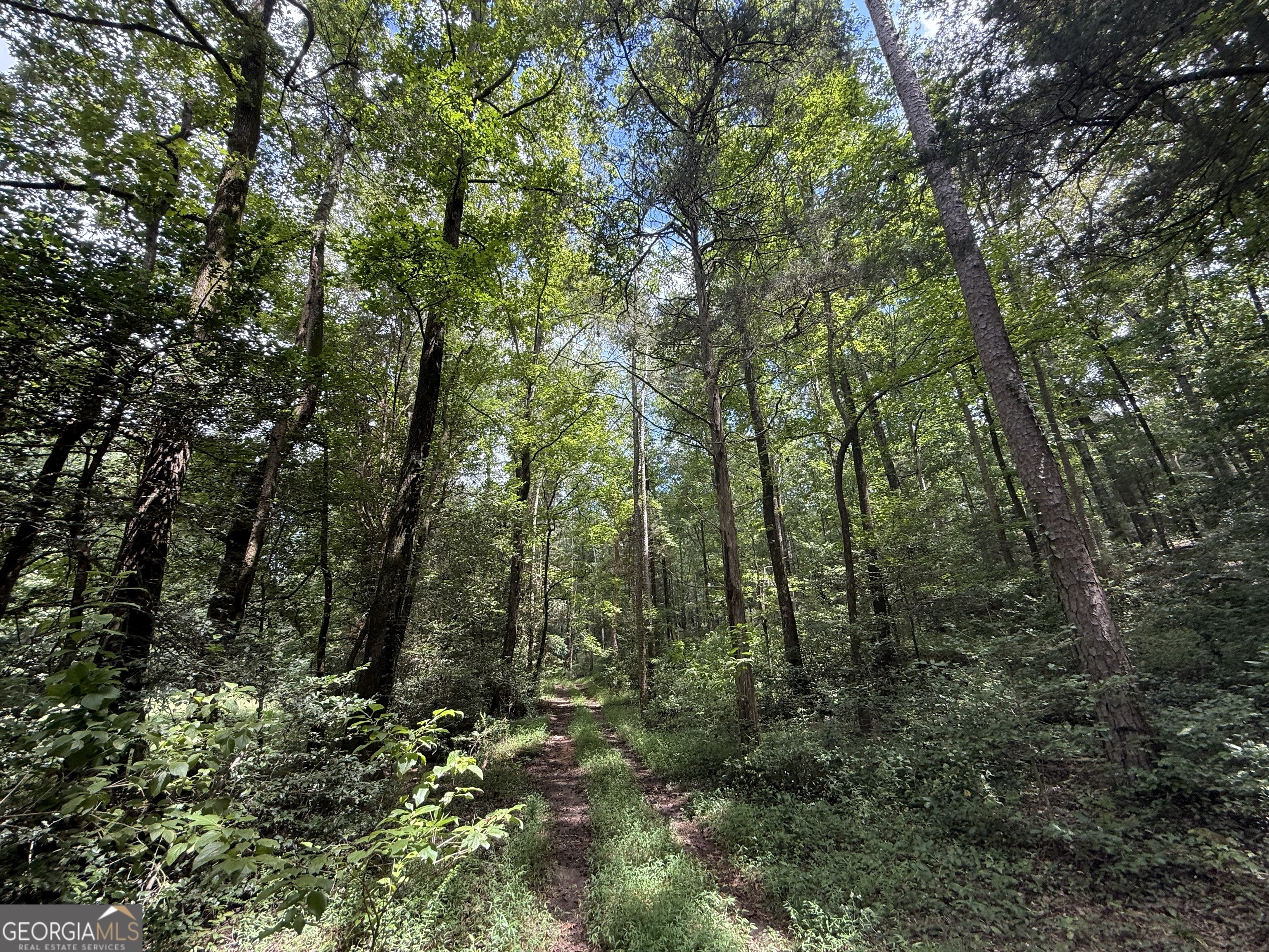 2004 Christian Road