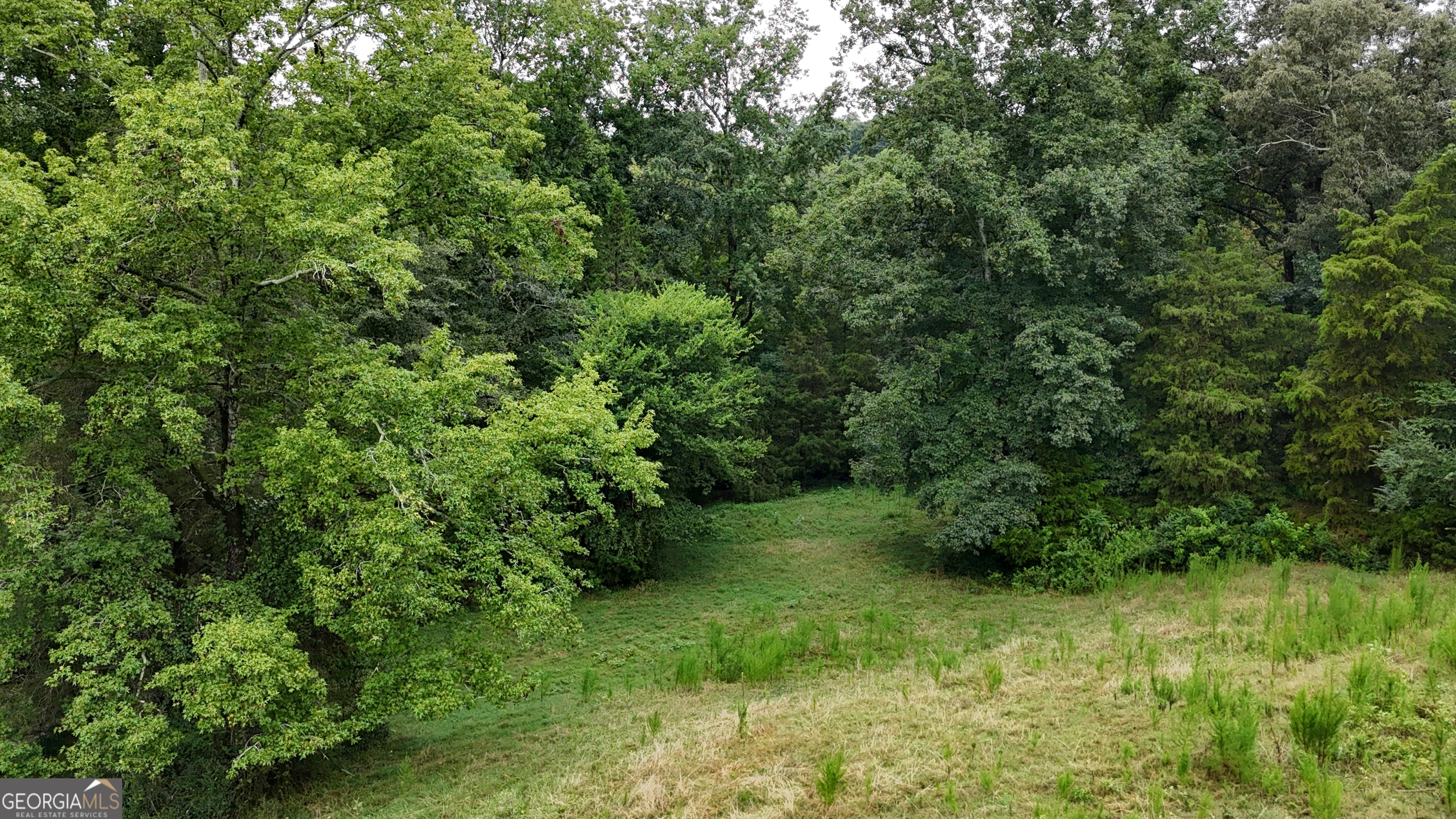2004 Christian Road
