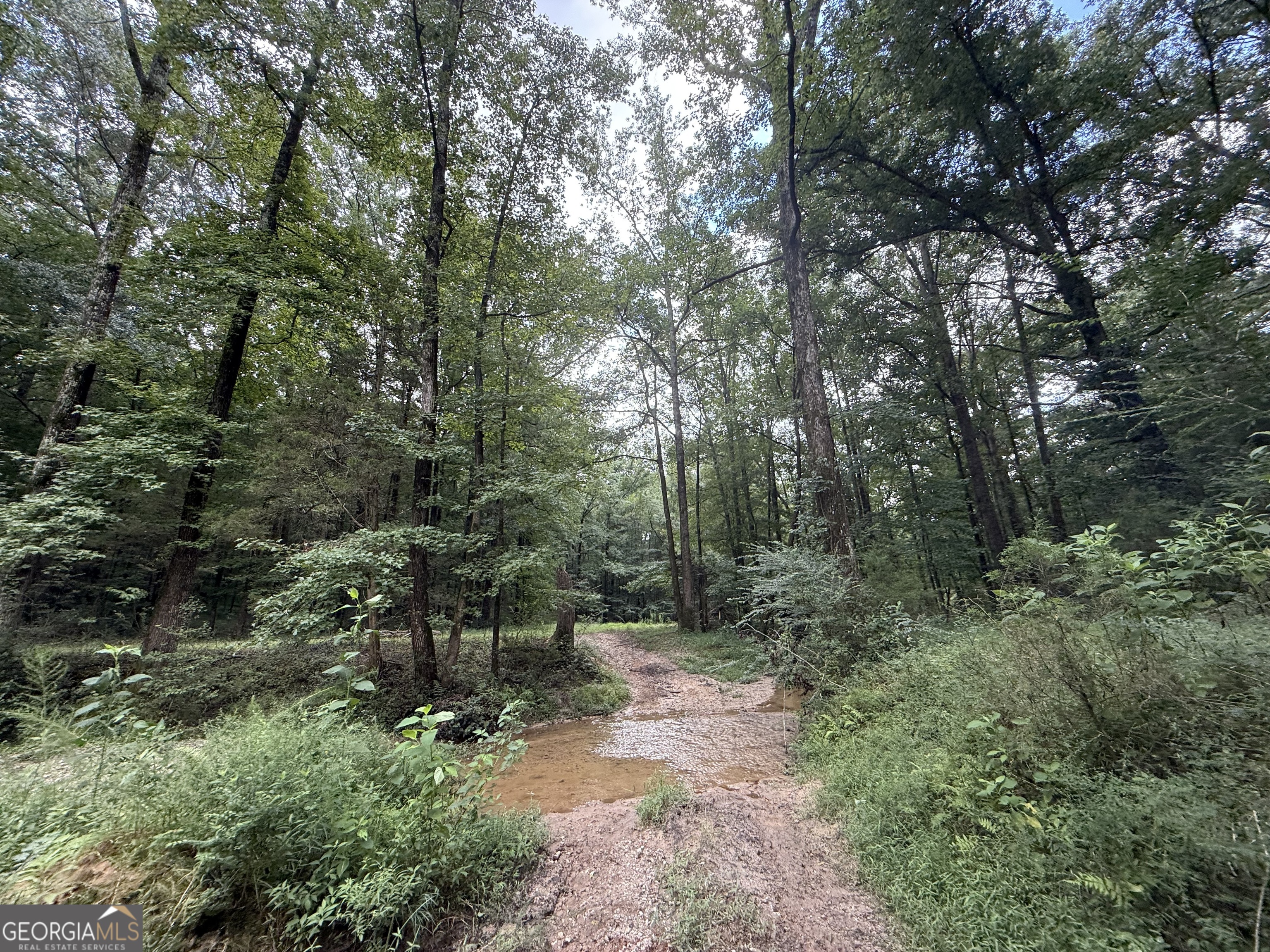 2004 Christian Road