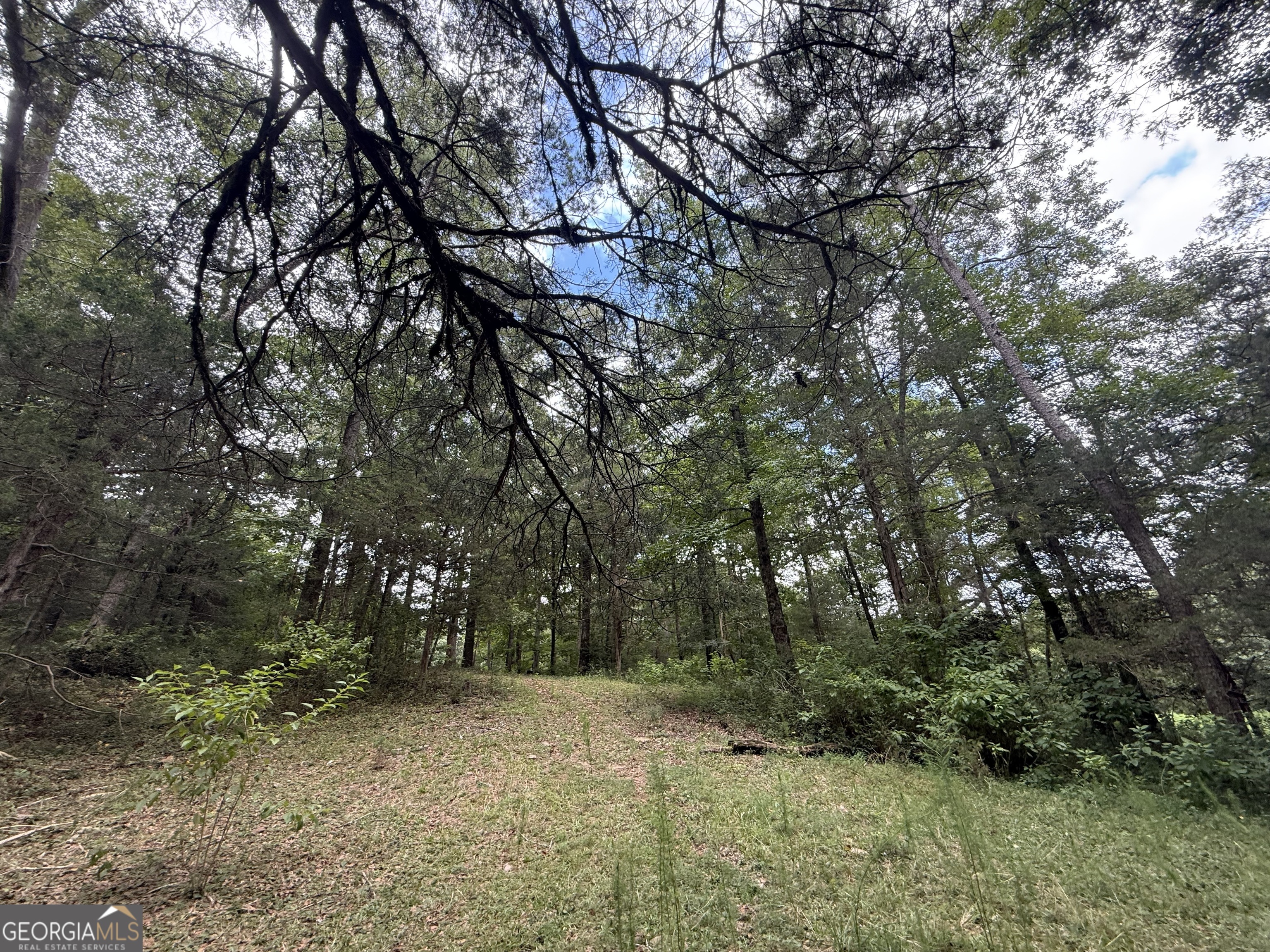 2004 Christian Road