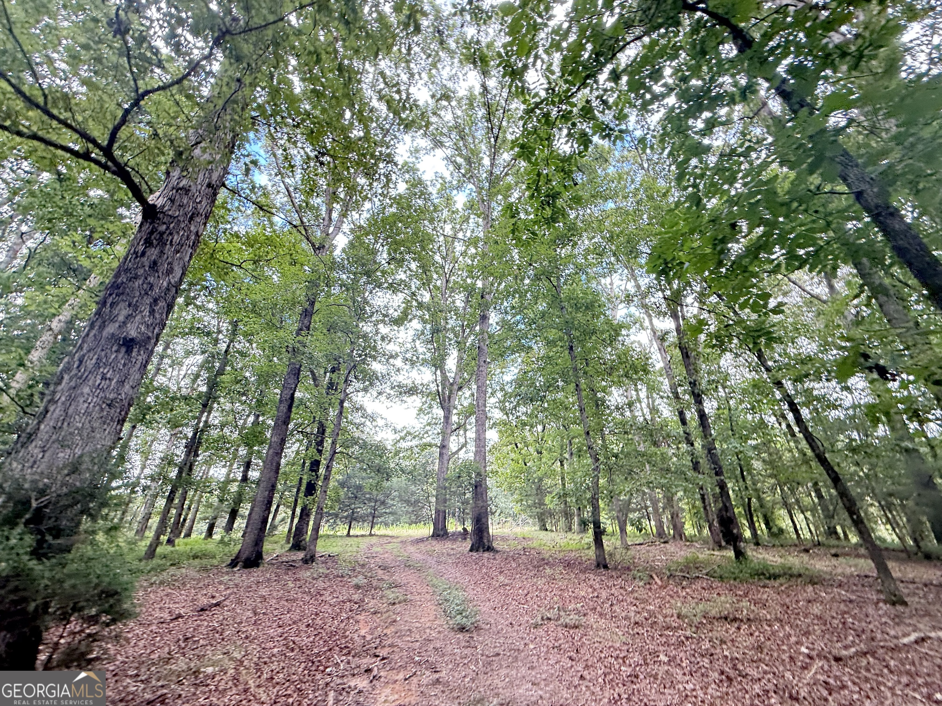 2004 Christian Road